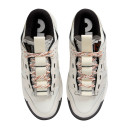 Nike Air Dunk Low Jumbo Phantom FB8894-002