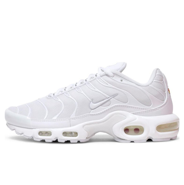 Nike Air Max Plus White DM2362 100