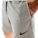 Шорти Nike NP FLEX REP SHORT 2.0 NPC CU4991-073