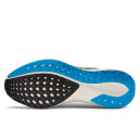 Nike Air Zoom Pegasus 41 2K5 HV5218-100
