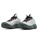 Nike ACG Mountain Fly 2 Low Gore Tex White Grey