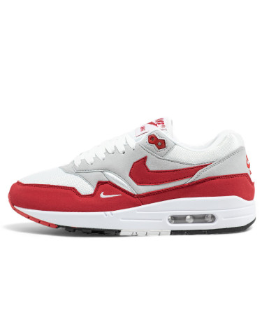 Nike Air Max 1 Low Poly HQ5882-100