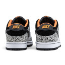 Nike SB Dunk Low Pro Electric Pack FZ1233-002