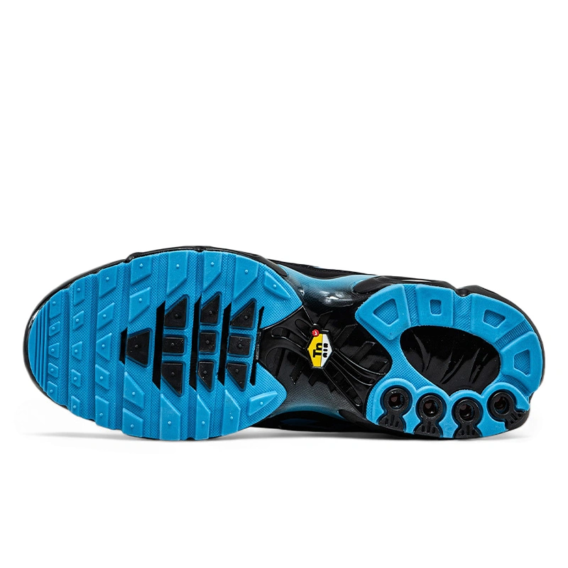 Nike Air Max TN Plus Black University Blue DM0032-005 купить