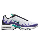 Nike Air Max Plus Grape DM0032-100