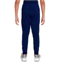 Штаны Nike NK DF WOVEN PANT DD8428-492