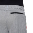 Шорти Nike NK POLY+ SHORT DO7093-091