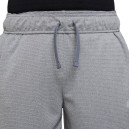 Шорти Nike NK POLY+ SHORT DO7093-091