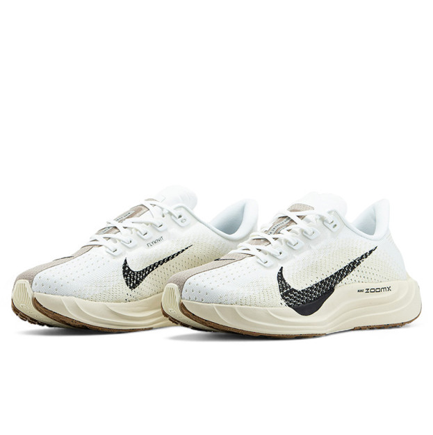 Nike Pegasus Plus Sail Orewood Anthracit FQ7262-100
