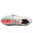 Nike Pegasus Plus Barely Grey Hot Punch FQ7262-001