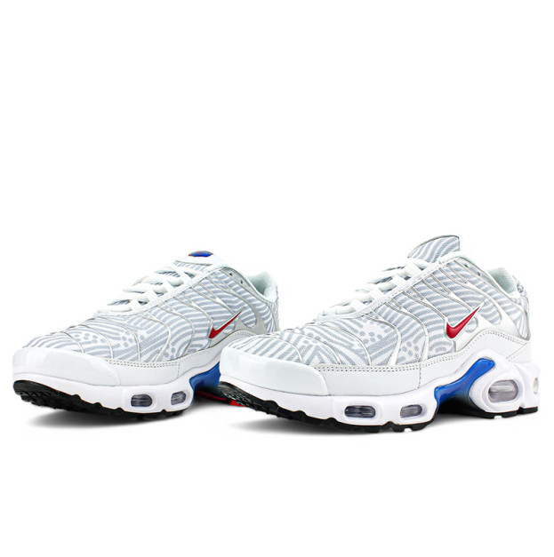 Nike Air Max Plus Euro Tour Particle Grey CW7575-001