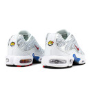 Nike Air Max Plus Euro Tour Particle Grey CW7575-001