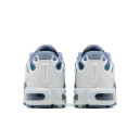 Nike Air Max Plus Drift Ashen Slate FV4081-101