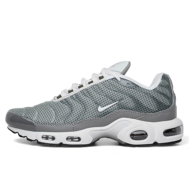 Nike Air Max Plus Flat Pewter White DV7665-002