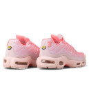 Nike Air Max Plus City Special Atlanta DH0155-600