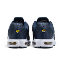 Nike Air Max Plus French Football Federation FB3350-400