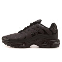 Nike Air Max TN Plus Chameleon Blue