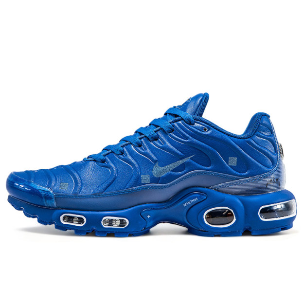 Nike Air Max TN Plus Blue