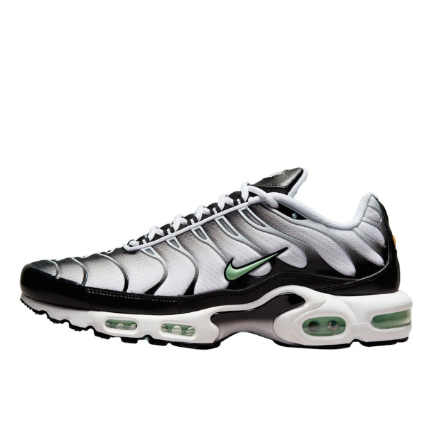 Nike Air Max Plus White Black Mint Green DH4776-100