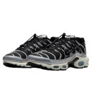 Nike Air Max Plus Toggle Black Silver FD0799-001