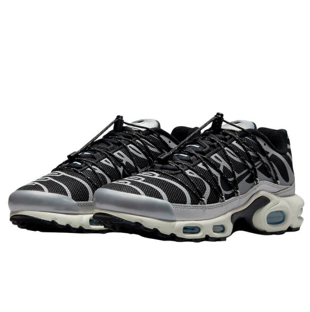 Nike Air Max Plus Toggle Black Silver FD0799-001