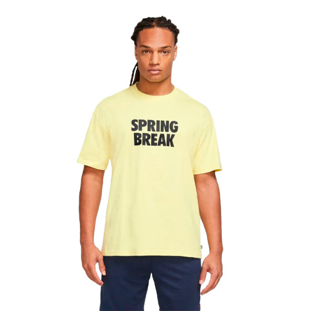 Футболка Nike NK SB TEE SPRING BREAK DX9457-706