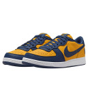 Nike Terminator Low Michigan FJ4206-700