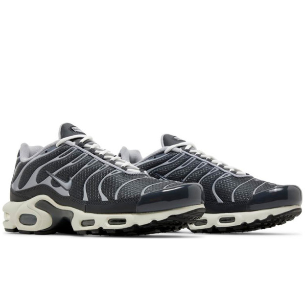 Nike Air Max Plus Iron Grey DZ2655-001