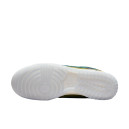 Nike Dunk Low Siempre Familia DO2160-335