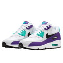 Nike Air Max 90 Grape AJ1285-103