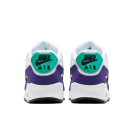 Nike Air Max 90 Grape AJ1285-103