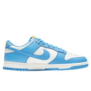 Nike Dunk Low Coast DD1503-100