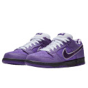 Nike SB Dunk Low Concepts Purple Lobster BV1310-555