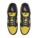 Nike Dunk Low Michigan DD1391-700