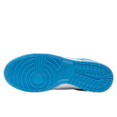 Nike Dunk Low UNC DD1391-102