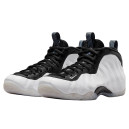 Nike Air Foamposite One Penny PE DV0815-100
