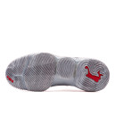 Nike LeBron 16 Wolf Grey CI2668-003