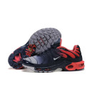 Nike Air Max TN Plus 898015-009