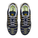 Nike Air Max Terrascape Plus Michigan DV7513-400
